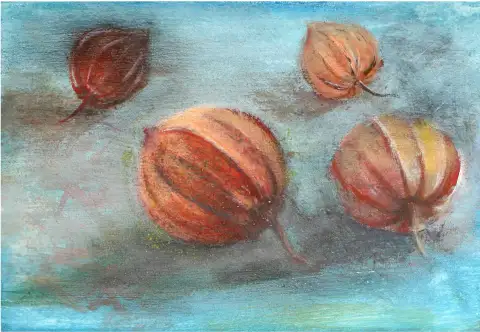 An acrylic painting capturing the delicate lantern structure of a physalis fruit.