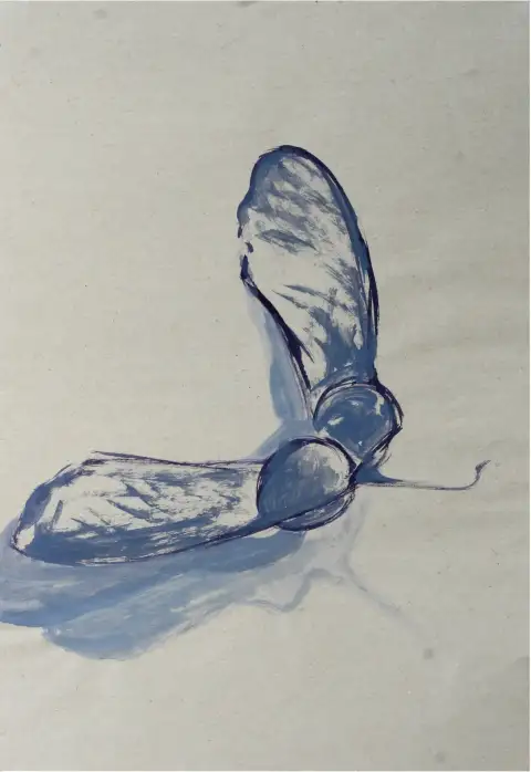 An ink drawing capturing the floating movement of maple seeds.
