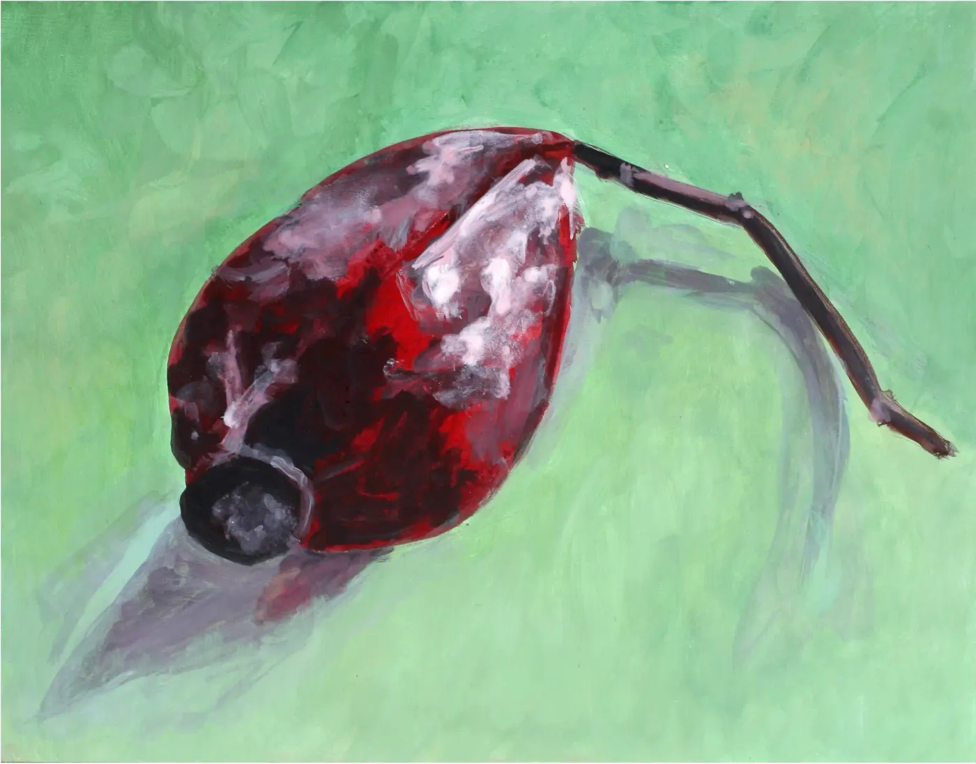 A detailed painting of a rosehip with dynamic light and shadow.